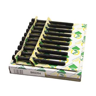 Болт головки блока цилиндров (ком-кт 10 шт) 1.6L BGA