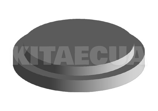 Заглушка КПП (полуоси) 1.6L на Chery AMULET (015409289AA)