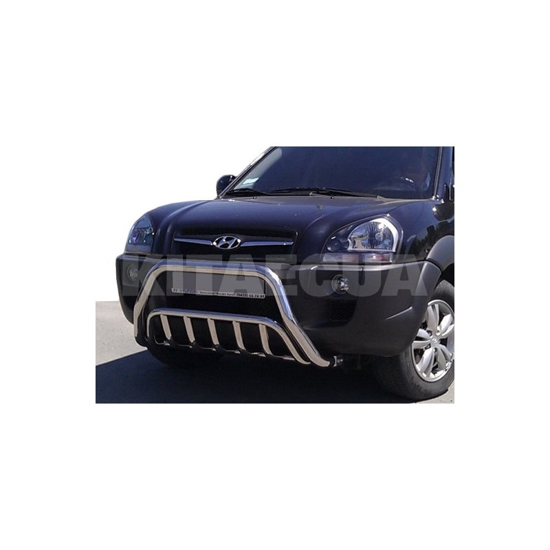 Кенгурятник WT002 Hyundai Tucson JM 2004-н.в. нержавеющая сталь CAN (dd22496) - 2