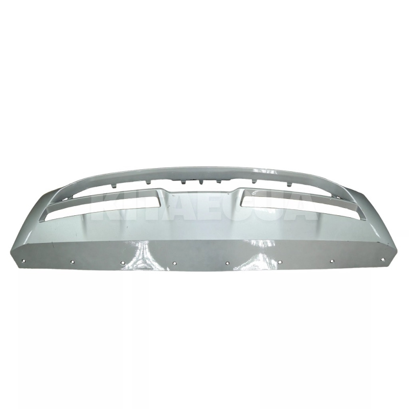 Нижня губа переднього бампера BYD на BYD EV Song Plus (13989862-00)