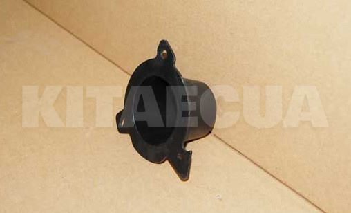 Заглушка противотуманной фары передней правой на ZAZ FORZA (A13-2803534BA)