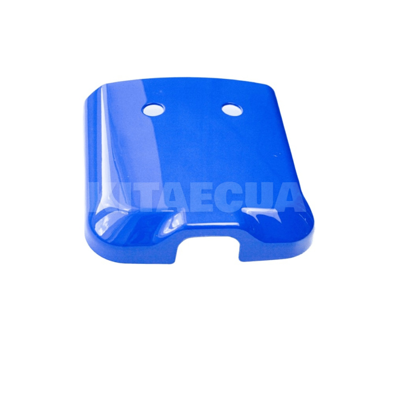 Передняя декоративная панель AIMA (62110-B004-00000) - 2