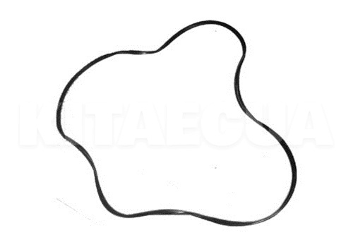 Ущільнювач заднього скла зовнішній гумовий PRIME на Chery AMULET (A11-5206215)