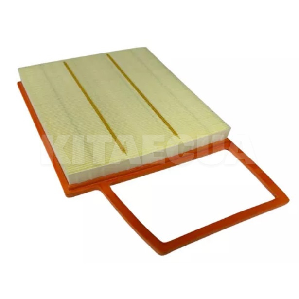 Фільтр повітряний BYD на BYD Denza D9 (13079621-00) - 3