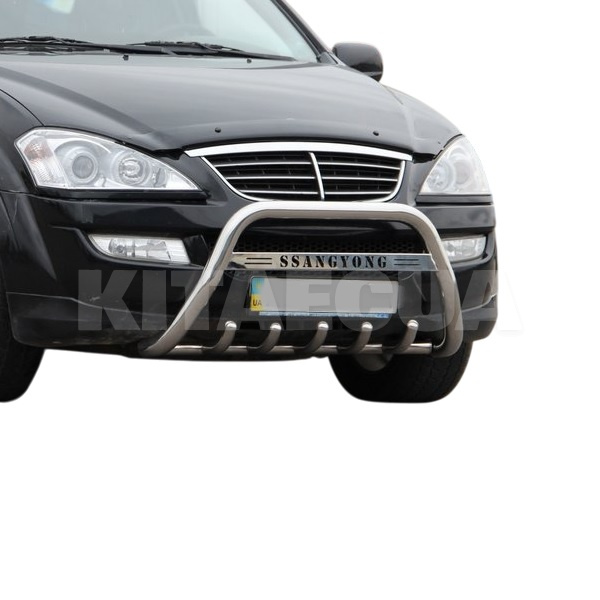 Кенгурятник WT004 SsangYong Actyon 2005-2018 нержавеющая сталь CAN (ddd1656) - 2