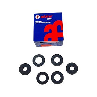 Ремкомплект главного тормозного цилиндра AUTOFREN