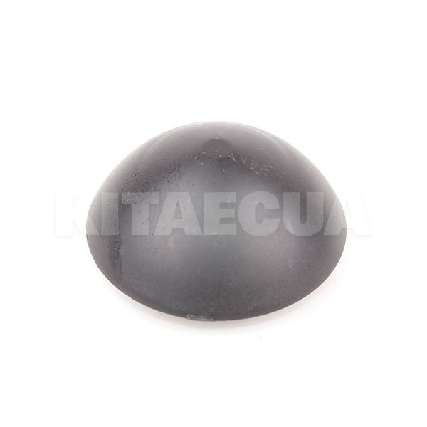 Ковпак стійки на ZAZ FORZA (A21-2901013)