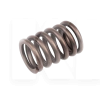 Пружина клапана 1.6L на Chery AMULET (480-1007013)