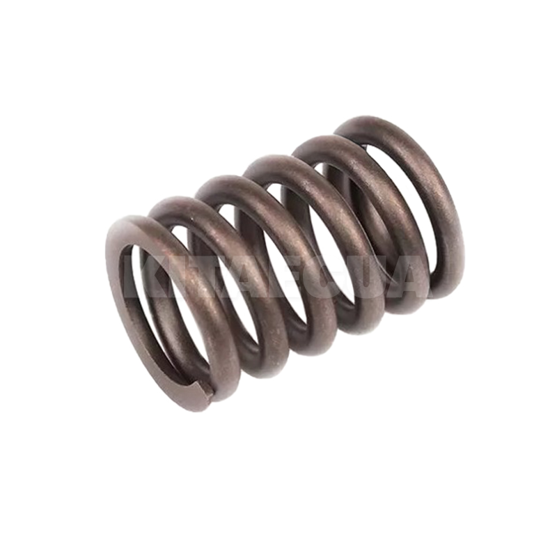 Пружина клапана 1.6L на Chery AMULET (480-1007013) - 2
