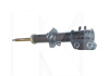 Амортизатор передній лівий масляний TANGUN на Chery QQ (S11-2905010)
