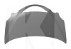 Капот ОРИГИНАЛ на CHERY JAGGI (S21-8402010-DY)