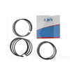 Кольца поршневые STD 1.5L CDN на BYD F3 (10149438-00)