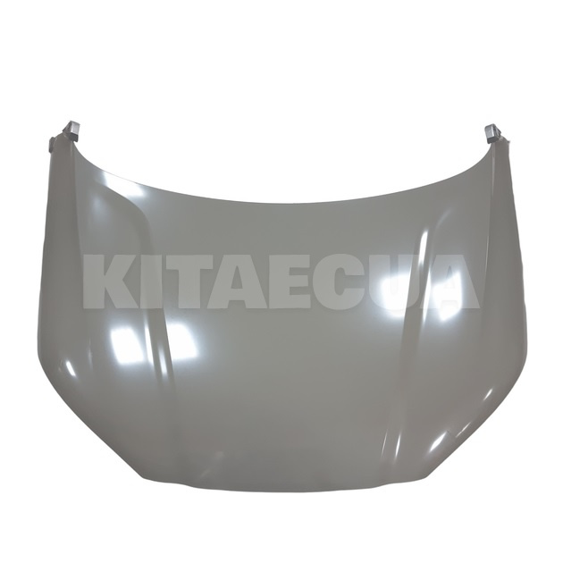 Капот (SA3HK-8402010/70)
