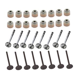 Комплект Клапанів впуск/випуск + сальники клапанів СК 