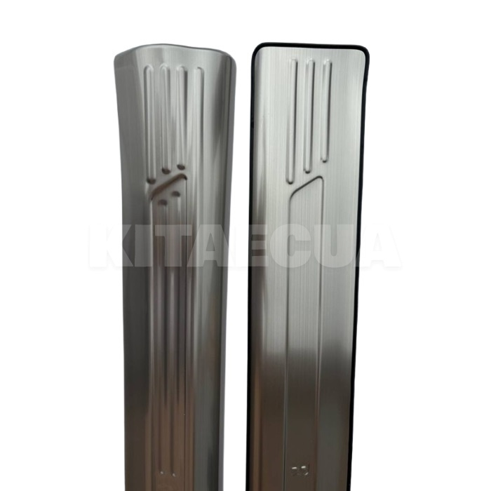 Накладки на пороги на BYD Yuan Plus (NNP-BYDYP) - 4