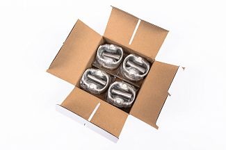 Поршні двигуна 0.25 (з пальцями) - 4шт 2.0 L CDN