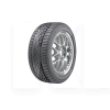 Шина зимняя 255/40R20 101Y XL Demo DUNLOP (1000413333)