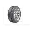 Шина зимова 255/40R20 101Y XL Demo DUNLOP (1000413333)