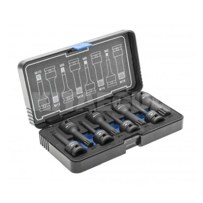 Набір торцевих головок ударних Spline M5-M18 1/2" 8 предметів HOGERT (HT6R006-HOGERT)