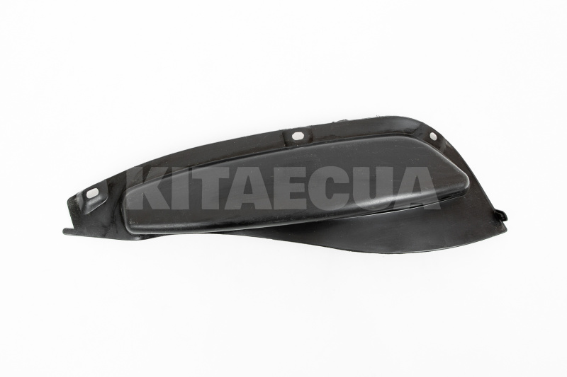 Бризговики заднього бампера правий на Chery AMULET (A11-3102032)