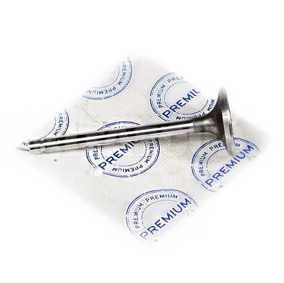 Клапан впускний (1шт) 2.2 L PREMIUM на Great Wall PEGASUS (1007016-E00)