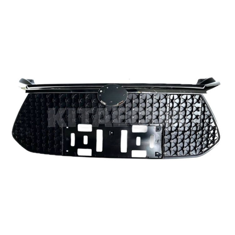 Решетка радиатора передняя BYD на BYD E2 (12823828-00) - 2
