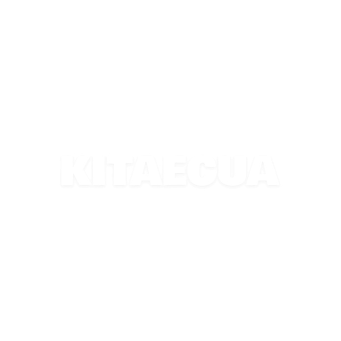 Накладка переднього бампера центральна на VOLKSWAGEN ID.4 CROZZ (11G 807 185 A) - 4