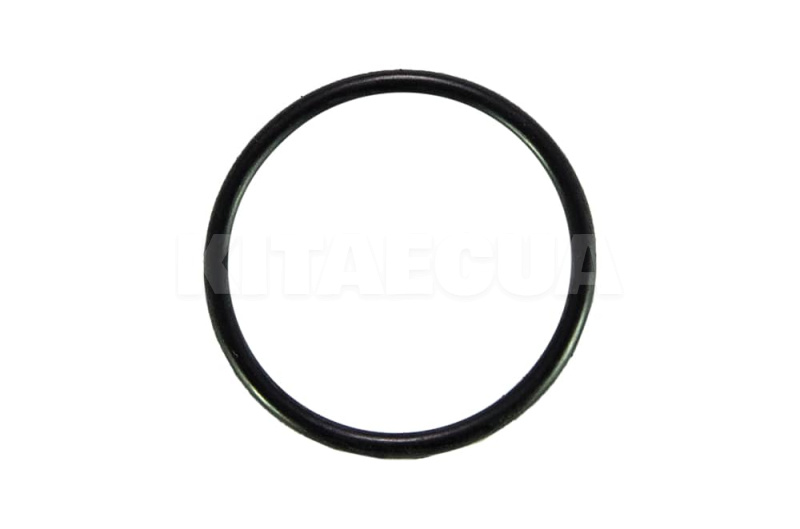 Прокладка помпы (кольцо уплотнительное) HQ на Geely CK2 (E050000301) - 2