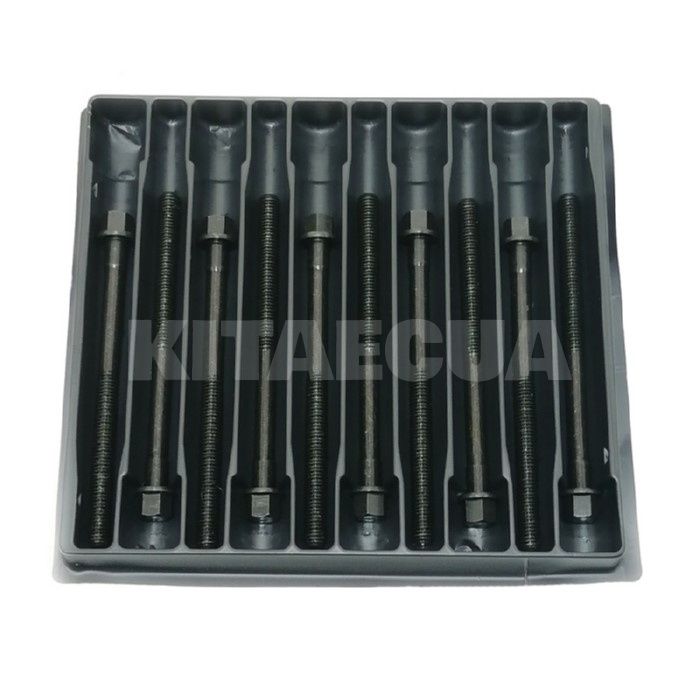 Болт головки блока цилиндров 1.6L PAYEN на Chery KARRY (480-1003082) - 2