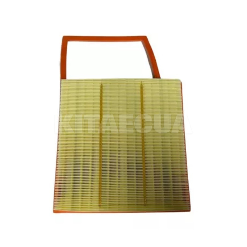 Фільтр повітряний BYD на BYD Denza D9 (13079621-00)