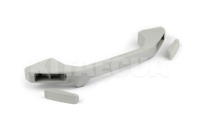 Ручка потолка ОРИГИНАЛ на ZAZ FORZA (A13-6906010DA)