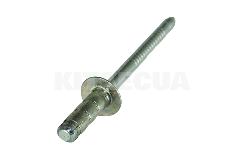 Заклепка ОРИГИНАЛ на Chery AMULET (N90307001) - 2