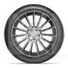 Шина зимняя 255/50R19 107T XL WINTERKING DW02 Doublestar (1000352284)