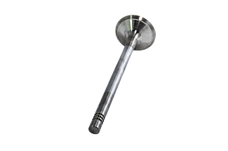 Клапан впускной (1шт) 