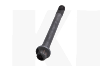 Болт головки блоку (довгий) на Geely GC6 (E010500901-01)