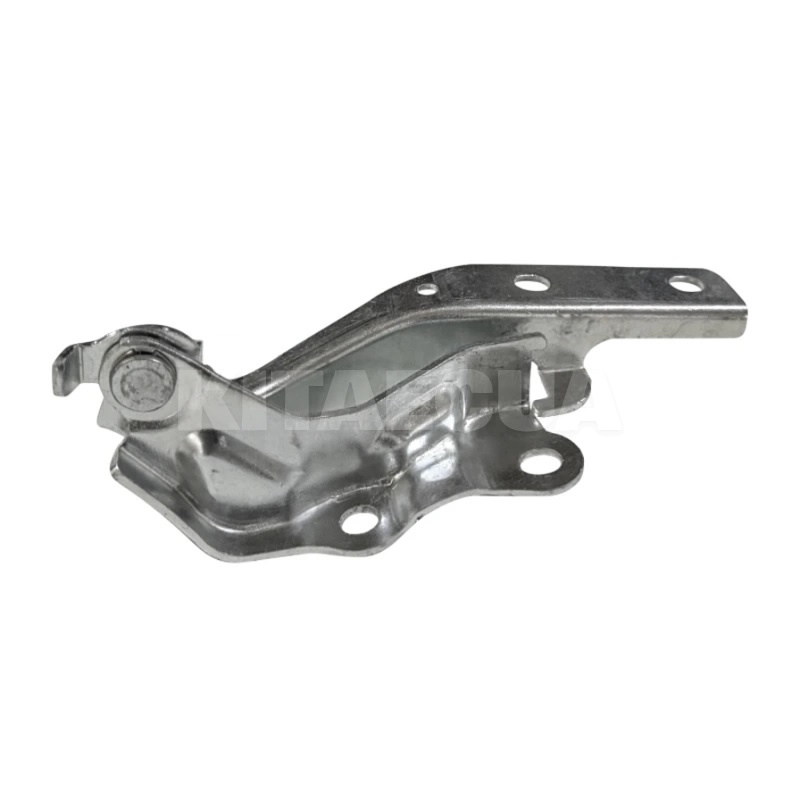Петля капота правая (T11-8402040FL-DY)