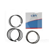Кільця поршневі +0.25 1.5L CDN на BYD F3 (473QA-1004021BA)