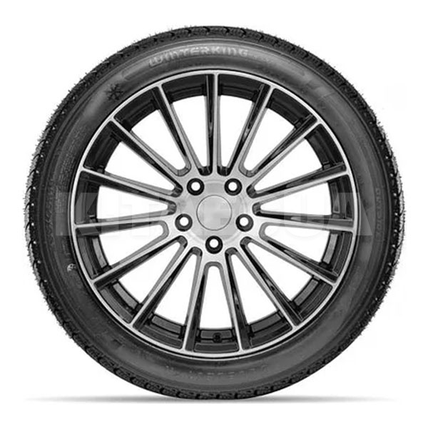Шина зимова 255/50R19 107T XL WINTERKING DW02 Doublestar (1000352284) - 2