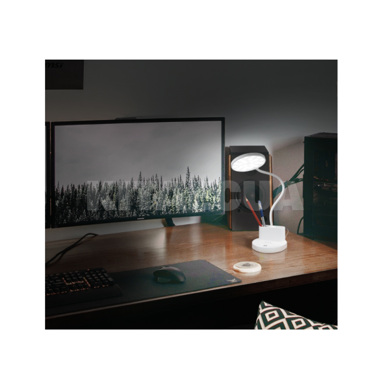 LED настільна лампа з акумулятором TITANUM (TLTF-011W) - 2