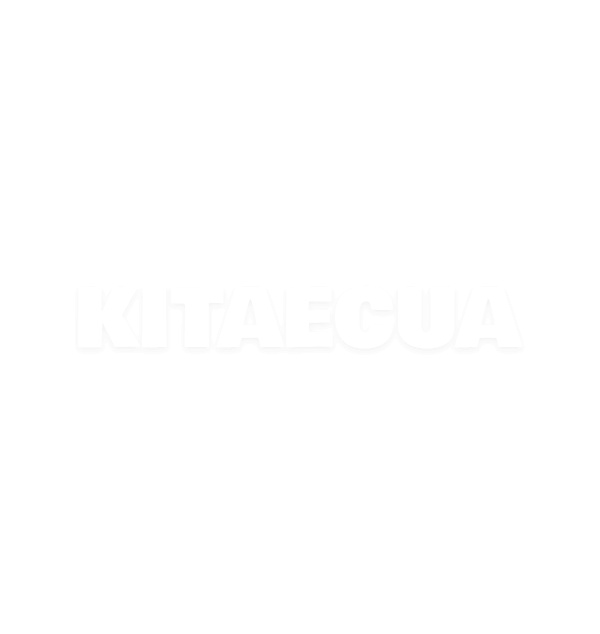 Зарядка Audi E-Tron 3.7 кВт 16А 1-фаза Type 1 (американське авто) Light EVEUS на AUDI e-tron (M16 T1 Light) - 2