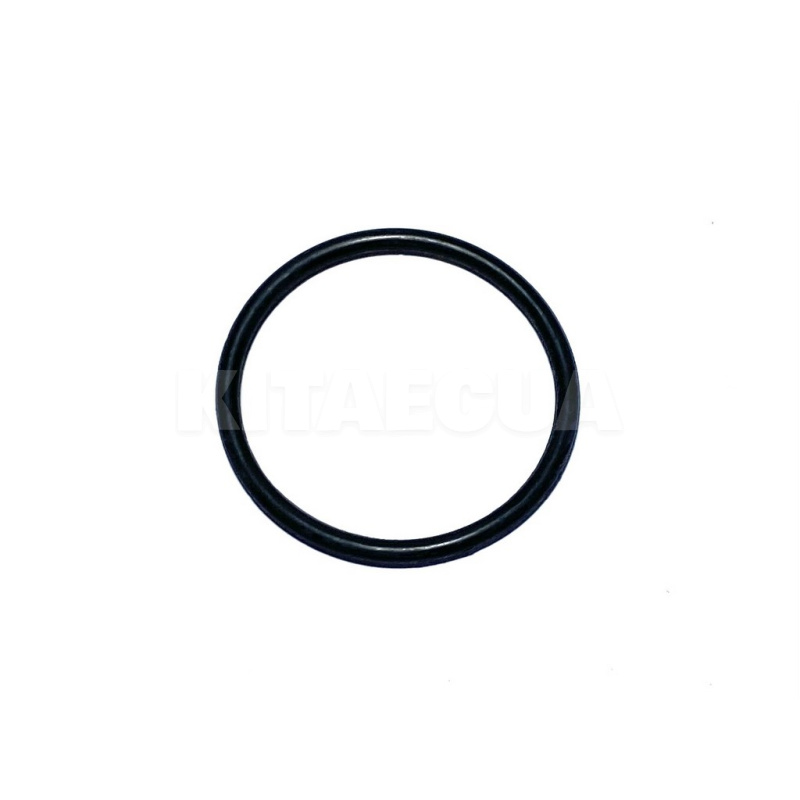 Прокладка помпи (кільце ущільнювальне) KLM Autoparts на Geely CK (E050000301) - 2