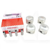 Поршні двигуна STD (з пальцями) - 4шт 1.6 L INA-FOR на Chery AMULET (480EF-1004020)