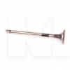 Клапан выпускной 2.0L INA-FOR на Great Wall WINGLE 6 (1007012-ED01)