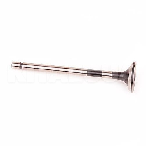 Клапан выпускной 2.0L INA-FOR на Great Wall WINGLE 6 (1007012-ED01)