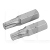 Биты S2 Torx T 25х50 мм, 2 шт блистер TOLSEN (20324)