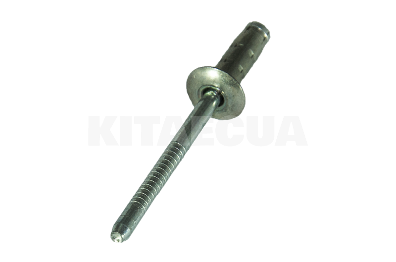 Заклепка ОРИГИНАЛ на Chery AMULET (N90307001) - 3