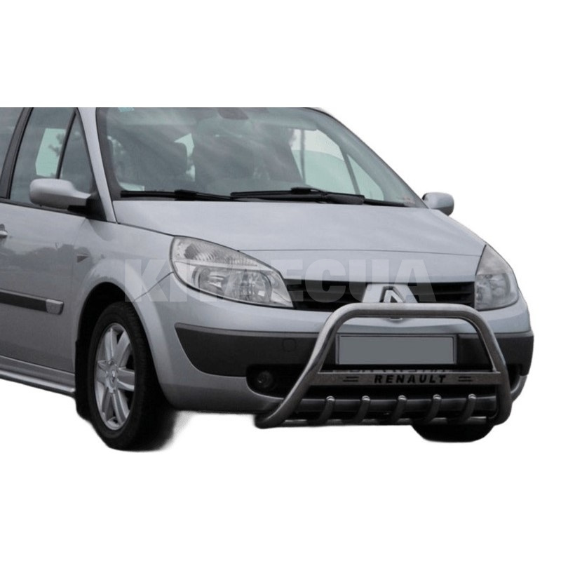 Кенгурятник WT004 Renault Scenic 2003-2009 нержавеющая сталь CAN (dd22701) - 2