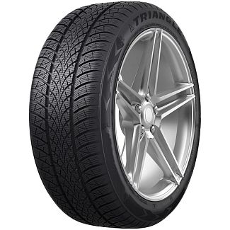 Шина зимова 195/50R16 88H XL WinterX TW401 Triangle