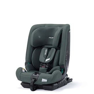 Автокресло детское TORIA ELITE 9-36 кг зеленое RECARO