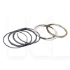 Кольца поршневые STD 2.0L SHINO на Chery EASTAR (484J-1004030)